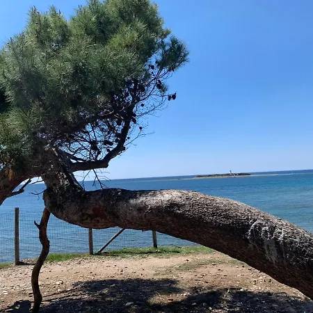 Bacio Del Sole