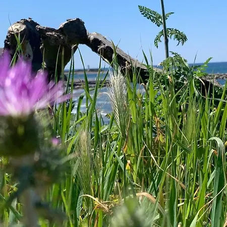 Apartamento Bacio Del Sole Agropoli
